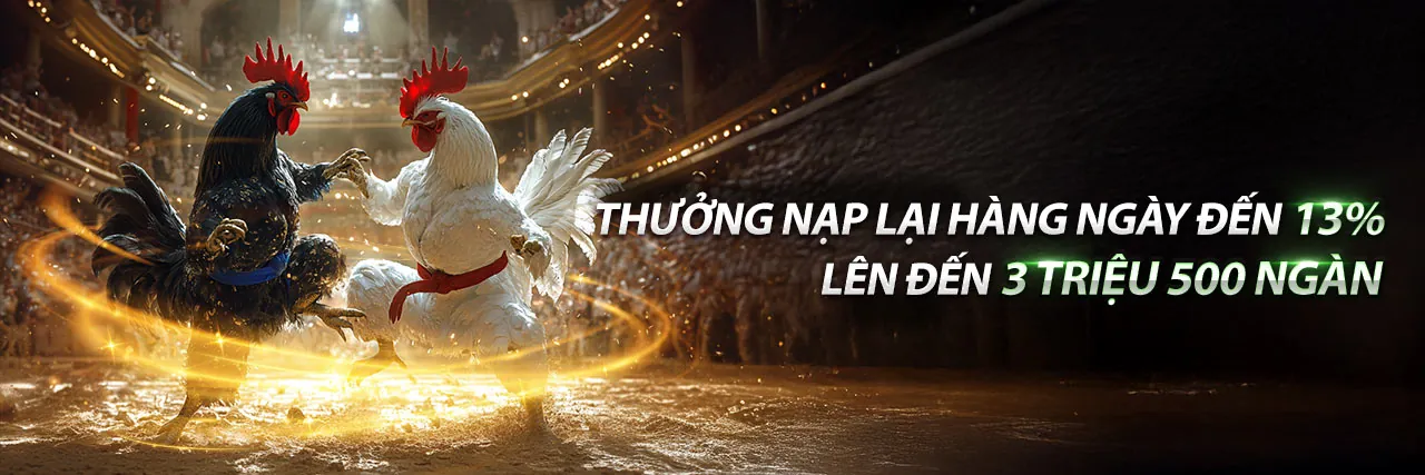 Sân chơi đá gà trực tuyến 1win khuyến mãi 2026