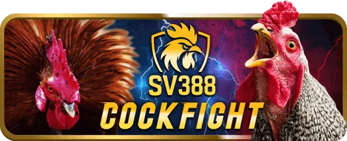 Biểu tượng đa dạng các môn thể thao trên 1win.